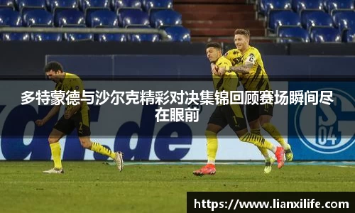 多特蒙德与沙尔克精彩对决集锦回顾赛场瞬间尽在眼前